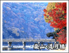 京都 紅葉の名所